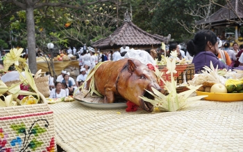 Babi Guling