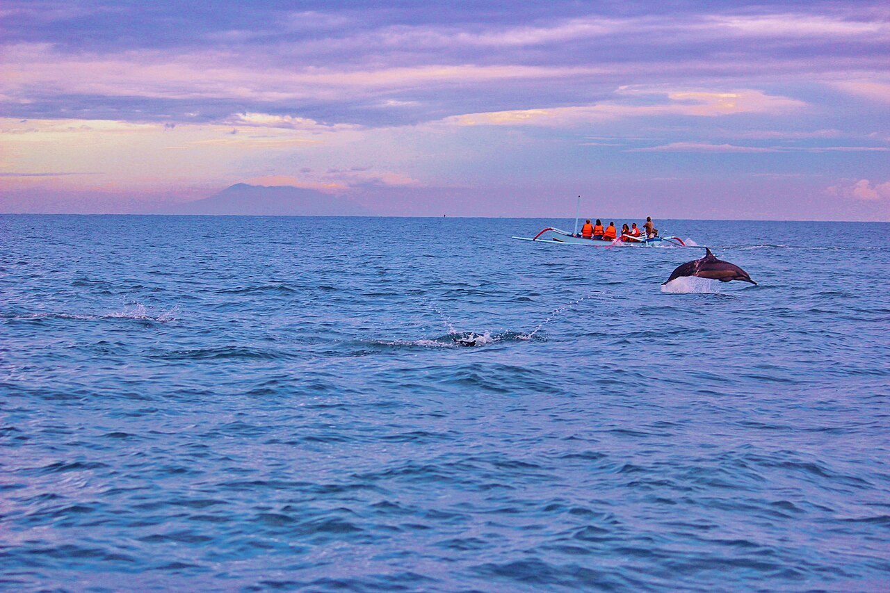 Dolphins and Sunrise in Lovina, Indonesia Bali - panoramio (1)