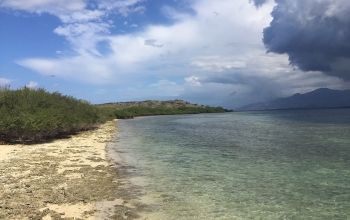 Pantai di Pulau Menjangan - TN Bali Barat
