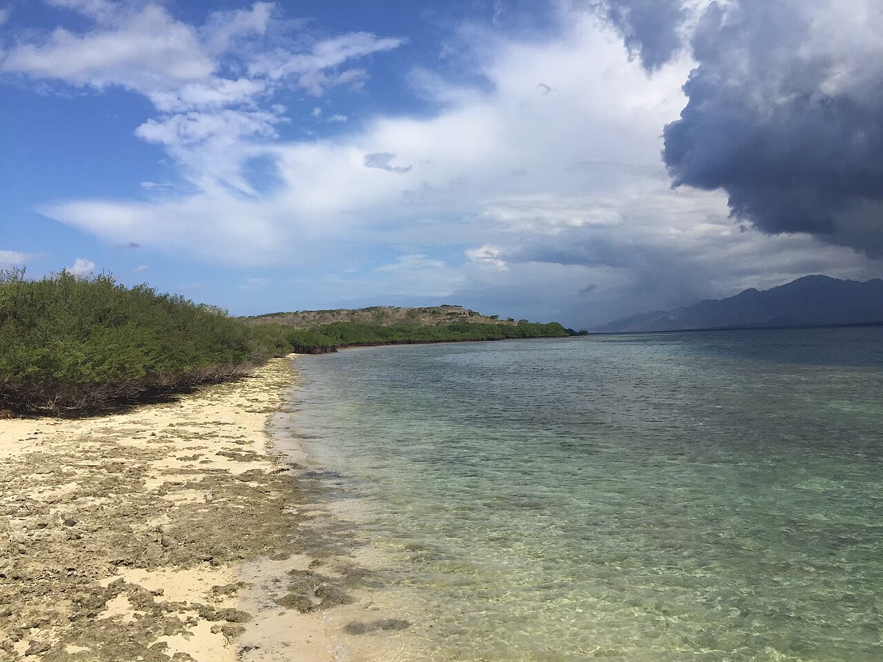 Pantai di Pulau Menjangan - TN Bali Barat